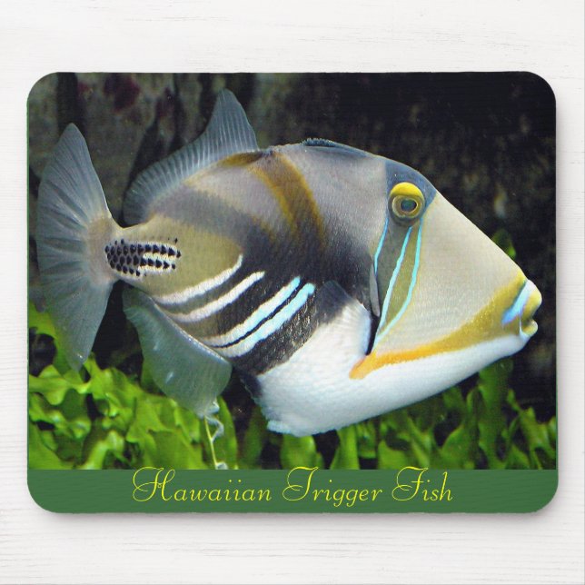 Hawaii state fish mouse pad (Front)