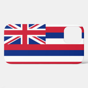 Hawaii state flag iPhone 12 case