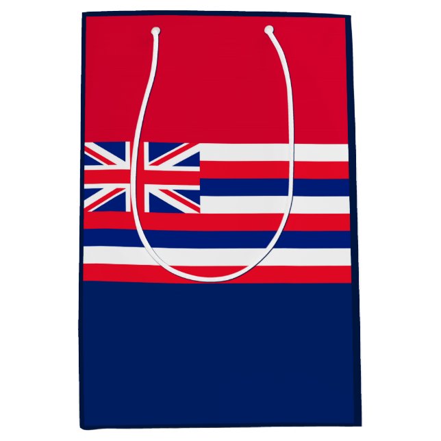 Hawaii State Flag Design Medium Gift Bag (Front)