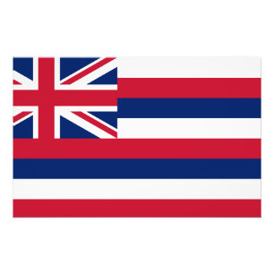 Hawaii State Flag Photo Print