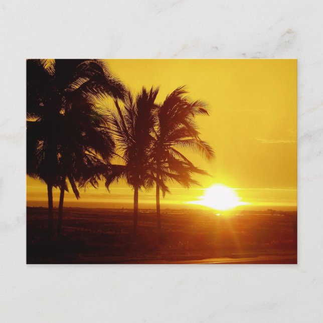 Hawaii Sunset Postcard (Front)