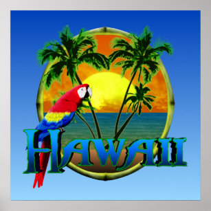 Hawaii Sunset Poster
