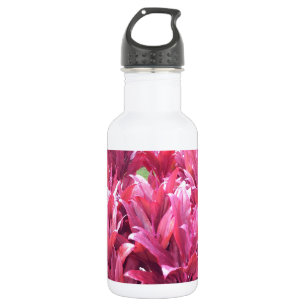 Hawaii Ti leave plant 532 Ml Water Bottle