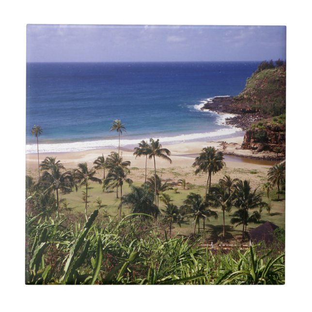 Hawaii Tile (Front)