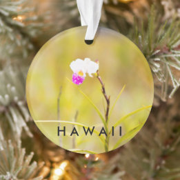 Hawaii Tropical Flower 2 Photo / Texte