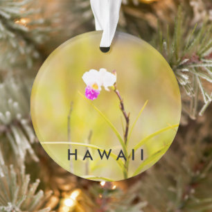 Hawaii Tropical Flower 2 Photo / Texte