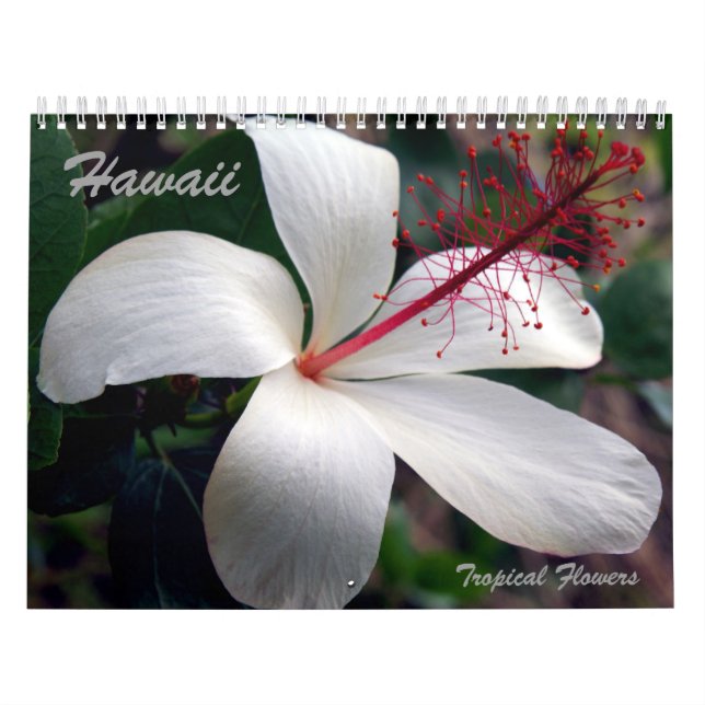 Hawaii Tropical Flowers Calendar (Cover)