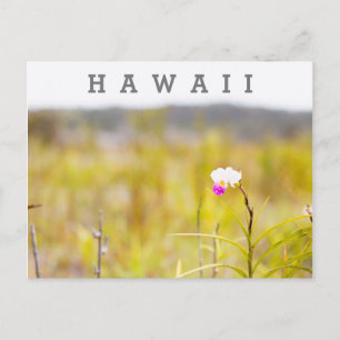 Hawaii Tropical Orchid Volcanoes National Park Postcard