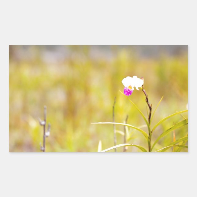 Hawaii Tropical Orchid Volcanoes National Park Sticker (Front)