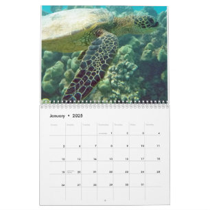 Hawaii Turtles Calendar