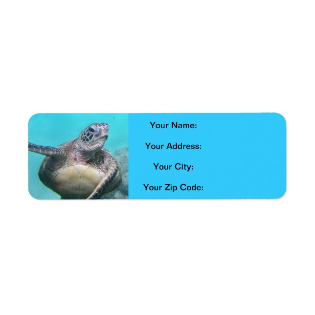 Hawaii Turtles - Honu (Front)