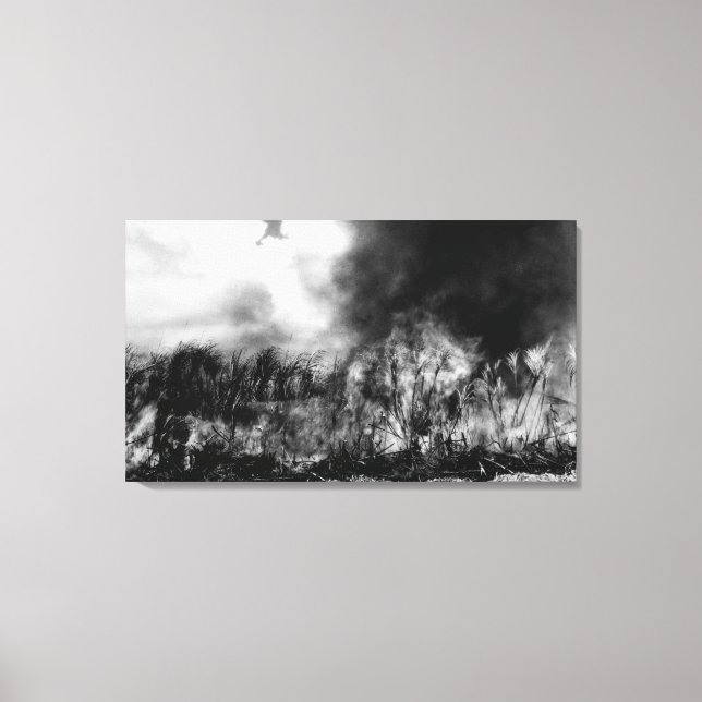 Hawaii - View of Sugar Cane Field on Fire Canvas Print (Front)