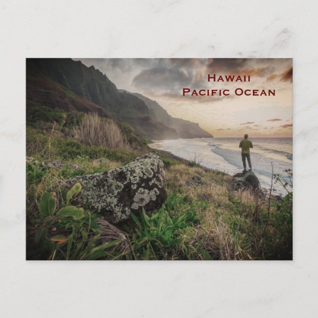 Hawaii Vintage Tourism Travel Add Postcard (Front)