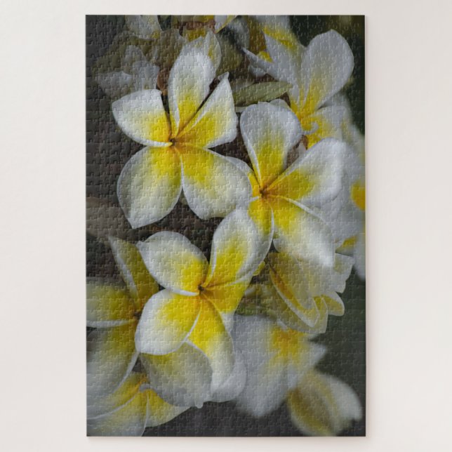Hawaii Yellow Plumeria Jigsaw Puzzle (Vertical)