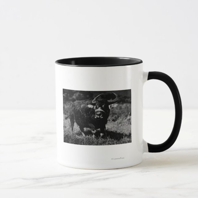 HawaiiA Water Buffalo  PhotographHawaii Mug (Right)