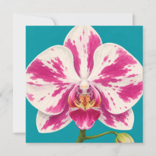Hawaiian aloha art card blank back