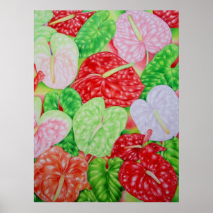 Hawaiian Anthuriums Poster