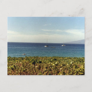 Hawaiian Beach II Postcard