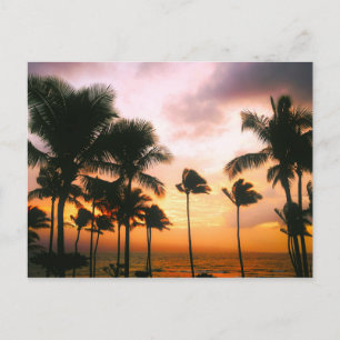 Hawaiian Beach Palm Trees Sunset - Hawaii Travel Postcard
