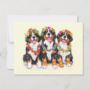 Hawaiian Bernese Mountain Dogs Flower Lei Postcard