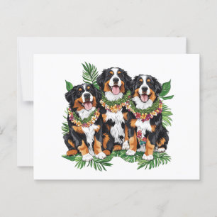 Hawaiian Bernese Mountain Dogs Flower Lei Postcard