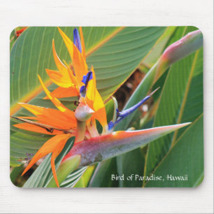 Hawaiian Bird of Paradise Mouse Pad