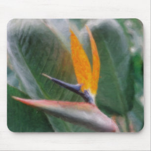 Hawaiian Bird of Paradise Mousepads
