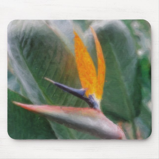 Hawaiian Bird of Paradise  Mousepads (Front)
