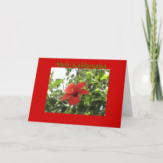 Hawaiian Christmas Card