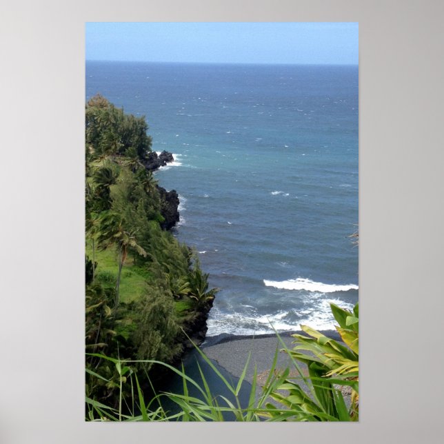 Hawaiian Coast Poster (Front)