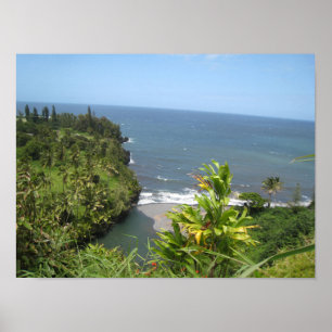 Hawaiian Coast Poster