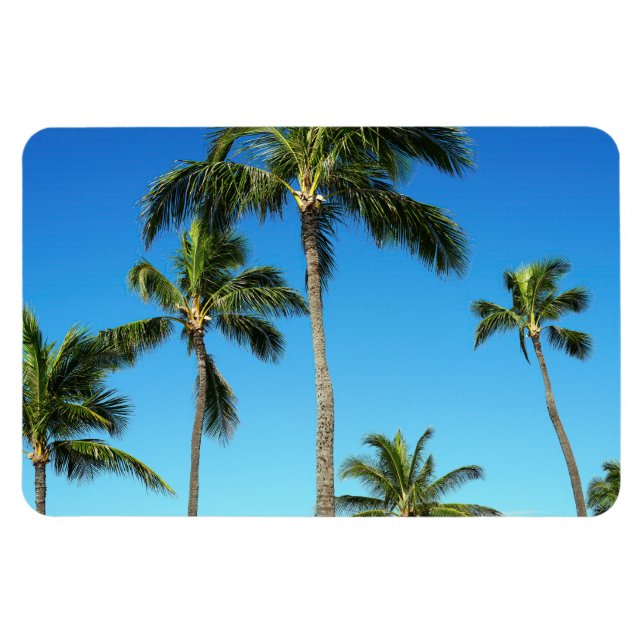 Hawaiian Coconut Trees Photo Magnet (Horizontal)