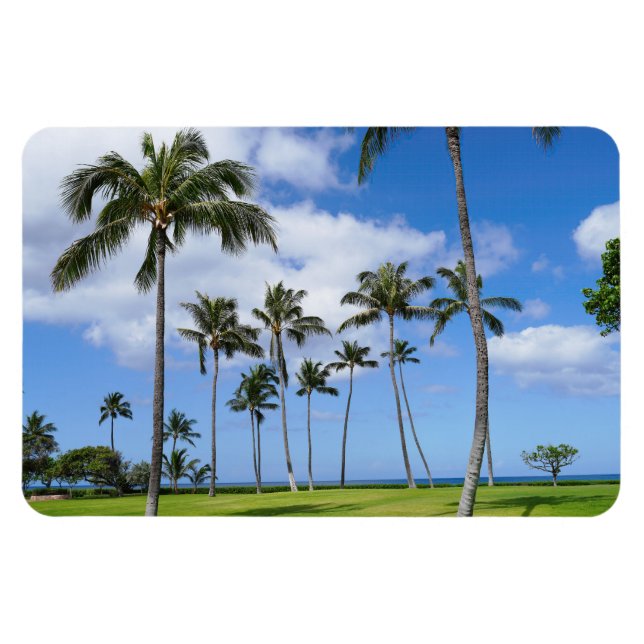 Hawaiian Coconut Trees Photo Magnet (Horizontal)