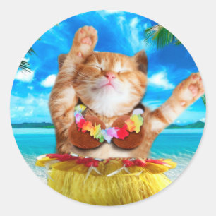 Hawaiian dancer cat classic round sticker