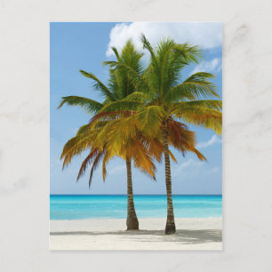 Hawaiian Exotic Beach Palm Trees Postcard