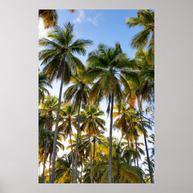 Hawaiian Exotic Beach Palm Trees Poster (Front)