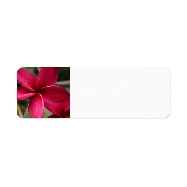 Hawaiian Flower Mailing Label (Front)