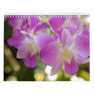 Hawaiian Flower & Orchid Calendar