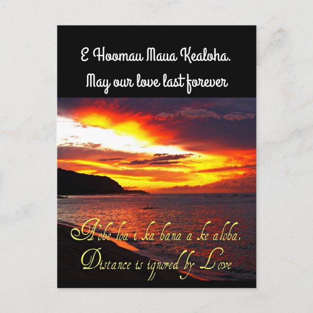 Hawaiian forever Love Postcard (Front)