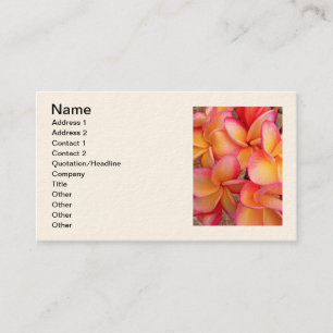 Hawaiian Frangipani Business Card