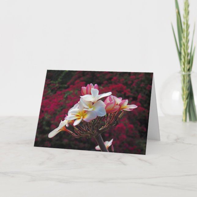 Hawaiian Frangipani Card (Front)