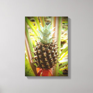 Hawaiian fresh grown pineapple canvas artwork print