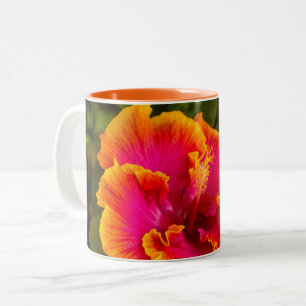 Hawaiian Fuchsia and Orange Hibiscus from Kauai Two-Tone Coffee Mug