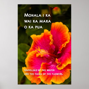 Hawaiian Fuchsia and Orange Hibiscus Motivational  Poster