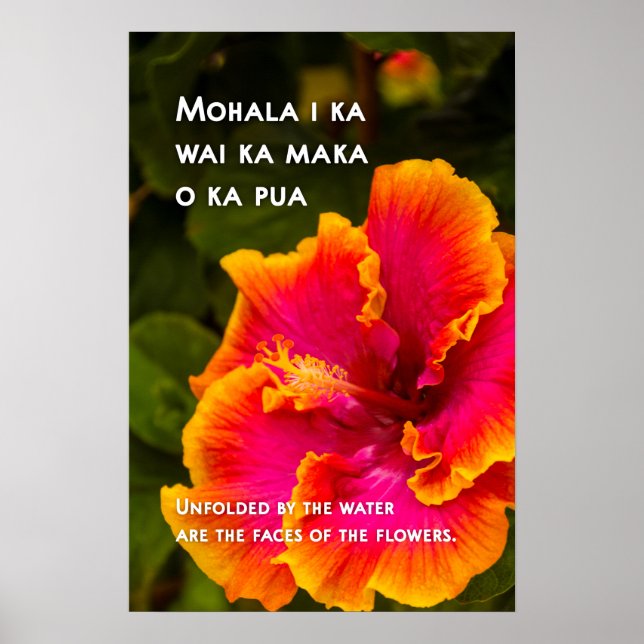 Hawaiian Fuchsia and Orange Hibiscus Motivational  Poster (Front)
