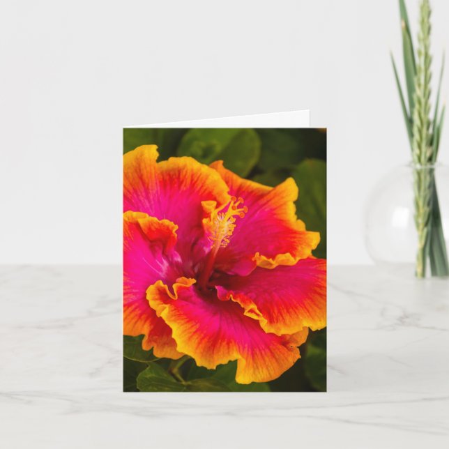 Hawaiian Fuchsia and Orange Hibiscus Note Card (Front)