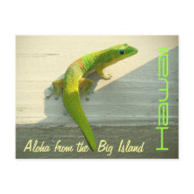 Hawaiian gecko postcard greeting