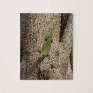 Hawaiian gecko tropical puzzle