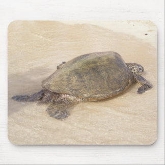 Hawaiian Giant Sea Turtle Mouse Pad