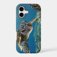 Hawaiian Green Sea Turtle